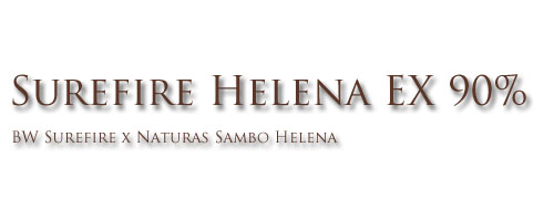 Surefire Helena